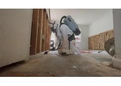 Mold Remediation Charleston SC
