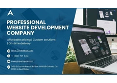 Professional Website Development Company