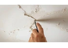 Ceiling Repair