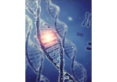 Placental Regenerative Biologics for Advanced Healing