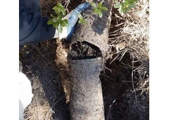 Gutter Downspout Extension