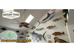 Fish mount replicas