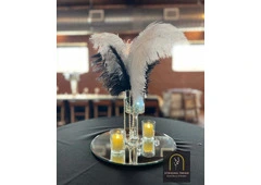 Elegant Event Draping Services - Striking Trend