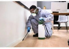 Rentokil Wicklow Services | Professional Pest Control