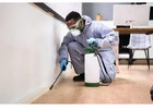 Rentokil Wicklow Services | Professional Pest Control