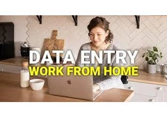 US Form Filling Project - Bulk & Single-System Data Entry