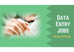 Professional US Medical Form Data Entry Services Required 7708244092