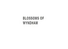 Same Day Flower Delivery Sunshine -  Blossom of Wyndham