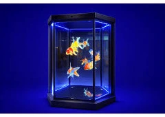 Premium 360° Visual Storytelling Powered by Lazulite Technology