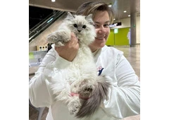 Siberian Kittens: Who Are We?