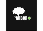 Arbor Plus