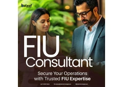Why Businesses Need an Expert FIU Consultant Today