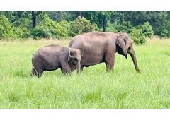 Moradabad to Ramnagar Cab | Moradabad to Ramnagar Taxi