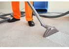 Carpet Cleaning Service in Canberra for Fresh, Hygienic Spaces