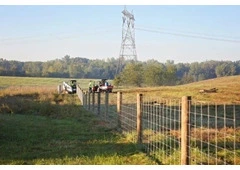 Is Your Current Farm Fence Strong Enough to Protect Your Livestock?