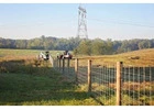 Is Your Current Farm Fence Strong Enough to Protect Your Livestock?
