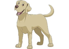 Indian dog breeders