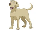 Indian dog breeders