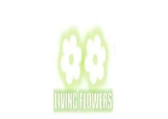 Flower Delivery Reservoir – Fresh Flowers for Every Occasion