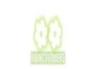 Flower Delivery Reservoir – Fresh Flowers for Every Occasion