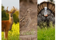 Hunting Lodges in Georgia | The Southern Residence