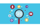 Hire SEO Freelancer