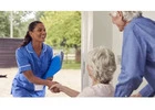 Supportive Day Programs for Dementia Patients in Champions
