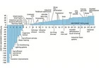 world energy consumption