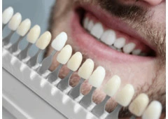 Dentist Schofields