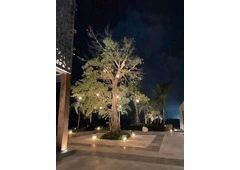 landscape lighting Miami Dade