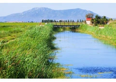 Clean Water Makes Healthier Livestock