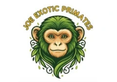 About Joe Exotic Primates: Passion, Ethics, and Expertise