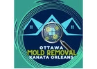 Professional Mold Removal Services in Ottawa, Orleans & Kanata