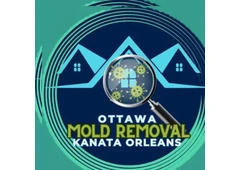 Professional Mold Removal Services in Ottawa, Orleans & Kanata