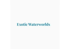 Exotic Waterworlds