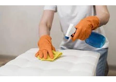 Book weekly, fortnightly, and monthly services for Commercial carpet cleaning Adelaide