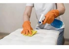 Book weekly, fortnightly, and monthly services for Commercial carpet cleaning Adelaide