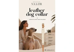 Premium Leather Dog Collar for Comfort, Style & Everyday Use