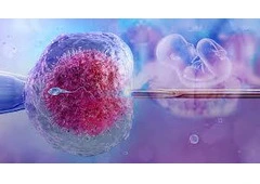 Top-Rated Fertility & IVF Center in Jaipur: Trusted Expert Care