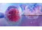 Top-Rated Fertility & IVF Center in Jaipur: Trusted Expert Care