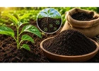 Organic Soil Conditioner for Stronger Healthier Soil Growth