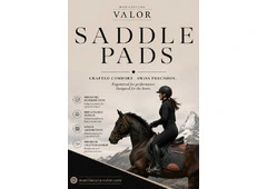 Essential Features That Support Horse and Rider Comfort