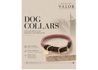 Essential Factors to Consider When Selecting a Dog Collar