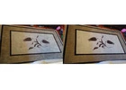 Say Goodbye to Stains with Dry Carpet Clean in Adelaide