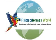 Buy Fertile Parrot Eggs & Ostrich Eggs for Sale.