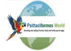 Buy Fertile Parrot Eggs & Ostrich Eggs for Sale.