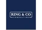 How can pay equity consultants help organizations