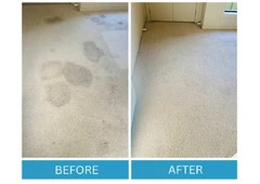 Obtain Fast-Drying with Carpet Cleaning Adelaide Hills