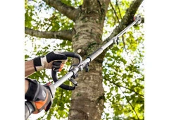 Branch Removal Sydney - Northern Beaches Garden & Trees