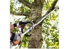 Branch Removal Sydney - Northern Beaches Garden & Trees